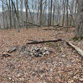 Review photo of Walls of Jericho - Trailhead Campsite by Asher K., April 1, 2021