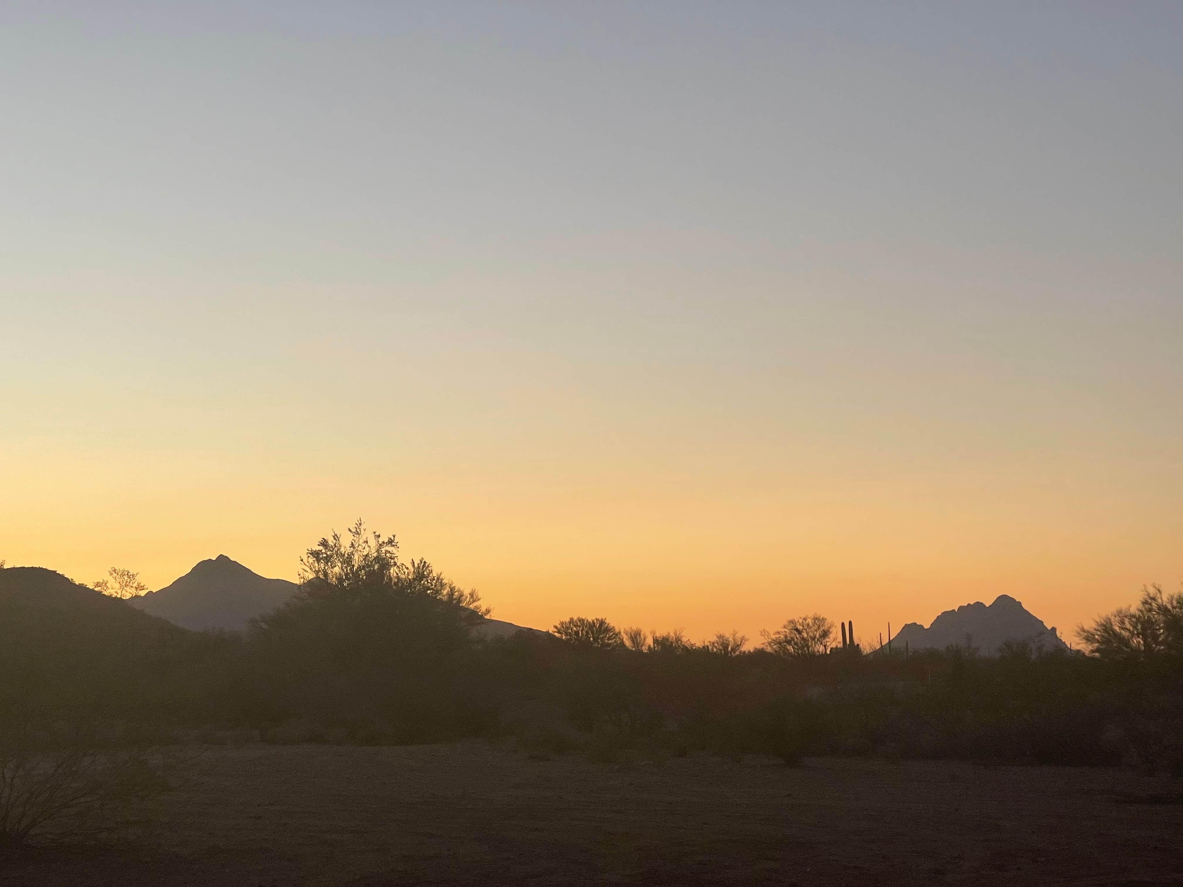 Jessica's photo of a dispersed camping area at BLM Ironwood Forest National Monument - Pipeline Rd Dispersed camping near Eloy, AZ