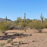 Review photo of BLM Ironwood Forest National Monument - Pipeline Rd Dispersed camping by Jessica , April 1, 2021