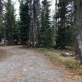 Review photo of Mazama Village Campground — Crater Lake National Park by Corinna B., April 1, 2021