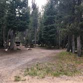 Review photo of Mazama Village Campground — Crater Lake National Park by Corinna B., April 1, 2021