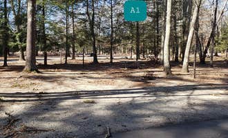 Camping near Hidden Acres Campground: Hopeville Pond State Park Campground, Griswold, Connecticut