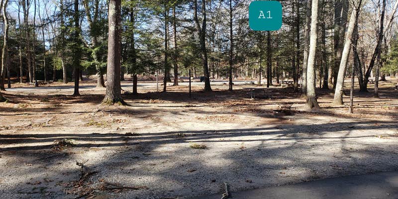 Camper submitted image from Hopeville Pond State Park Campground