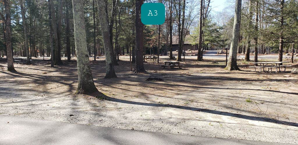 Camper-submitted photo at Hopeville Pond State Park Campground near Lebanon, CT