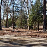 Review photo of Hopeville Pond State Park Campground by Jean C., April 1, 2021