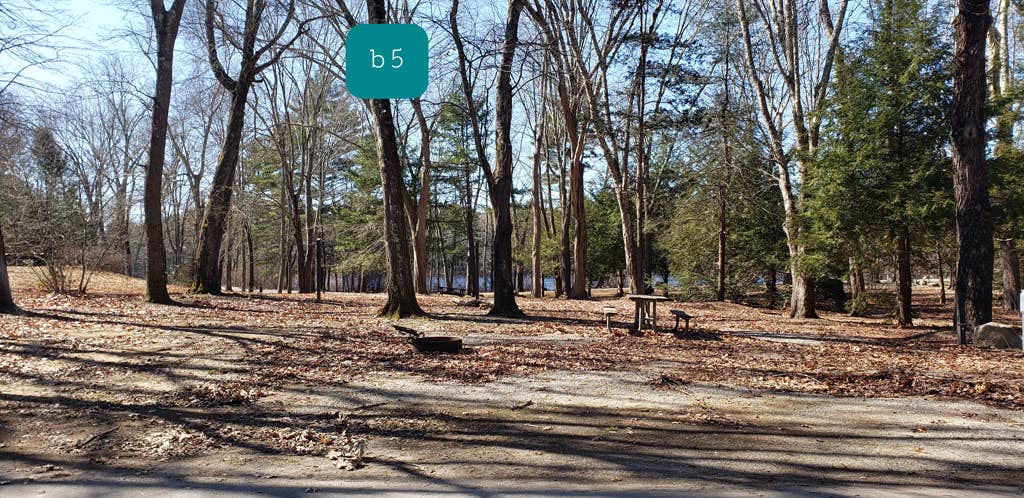 Camper submitted image from Hopeville Pond State Park Campground - 4