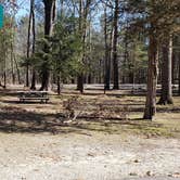 Review photo of Hopeville Pond State Park Campground by Jean C., April 1, 2021