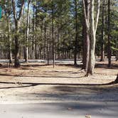 Review photo of Hopeville Pond State Park Campground by Jean C., April 1, 2021