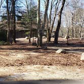 Review photo of Hopeville Pond State Park Campground by Jean C., April 1, 2021