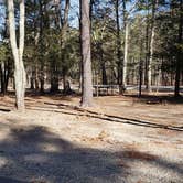 Review photo of Hopeville Pond State Park Campground by Jean C., April 1, 2021