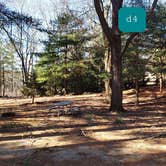 Review photo of Hopeville Pond State Park Campground by Jean C., April 1, 2021