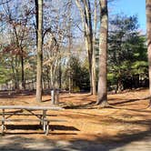 Review photo of Hopeville Pond State Park Campground by Jean C., April 1, 2021