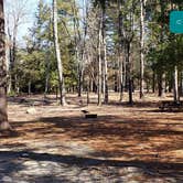 Review photo of Hopeville Pond State Park Campground by Jean C., April 1, 2021