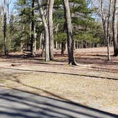 Review photo of Hopeville Pond State Park Campground by Jean C., April 1, 2021