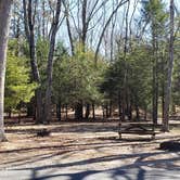 Review photo of Hopeville Pond State Park Campground by Jean C., April 1, 2021