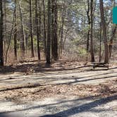 Review photo of Hopeville Pond State Park Campground by Jean C., April 1, 2021