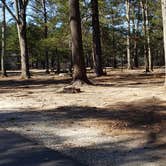 Review photo of Hopeville Pond State Park Campground by Jean C., April 1, 2021