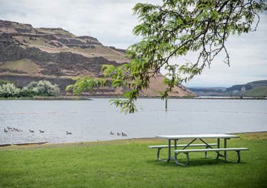 Camper-submitted photo at Lyons Ferry Park near Dixie, WA