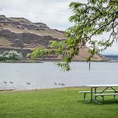 Review photo of Lyons Ferry Park by Hollina P., July 13, 2016