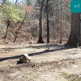 Review photo of Hopeville Pond State Park Campground by Jean C., April 1, 2021