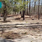 Review photo of Hopeville Pond State Park Campground by Jean C., April 1, 2021