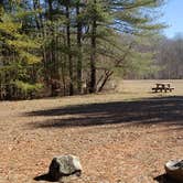 Review photo of Hopeville Pond State Park Campground by Jean C., April 1, 2021