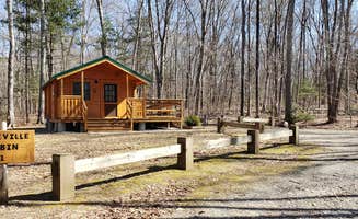 Jean C.'s photo of a cabin at Hopeville Pond State Park Campground near Scotland, CT