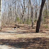 Review photo of Hopeville Pond State Park Campground by Jean C., April 1, 2021