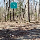 Review photo of Hopeville Pond State Park Campground by Jean C., April 1, 2021