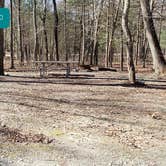 Review photo of Hopeville Pond State Park Campground by Jean C., April 1, 2021