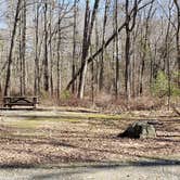 Review photo of Hopeville Pond State Park Campground by Jean C., April 1, 2021