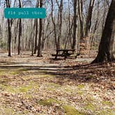 Review photo of Hopeville Pond State Park Campground by Jean C., April 1, 2021