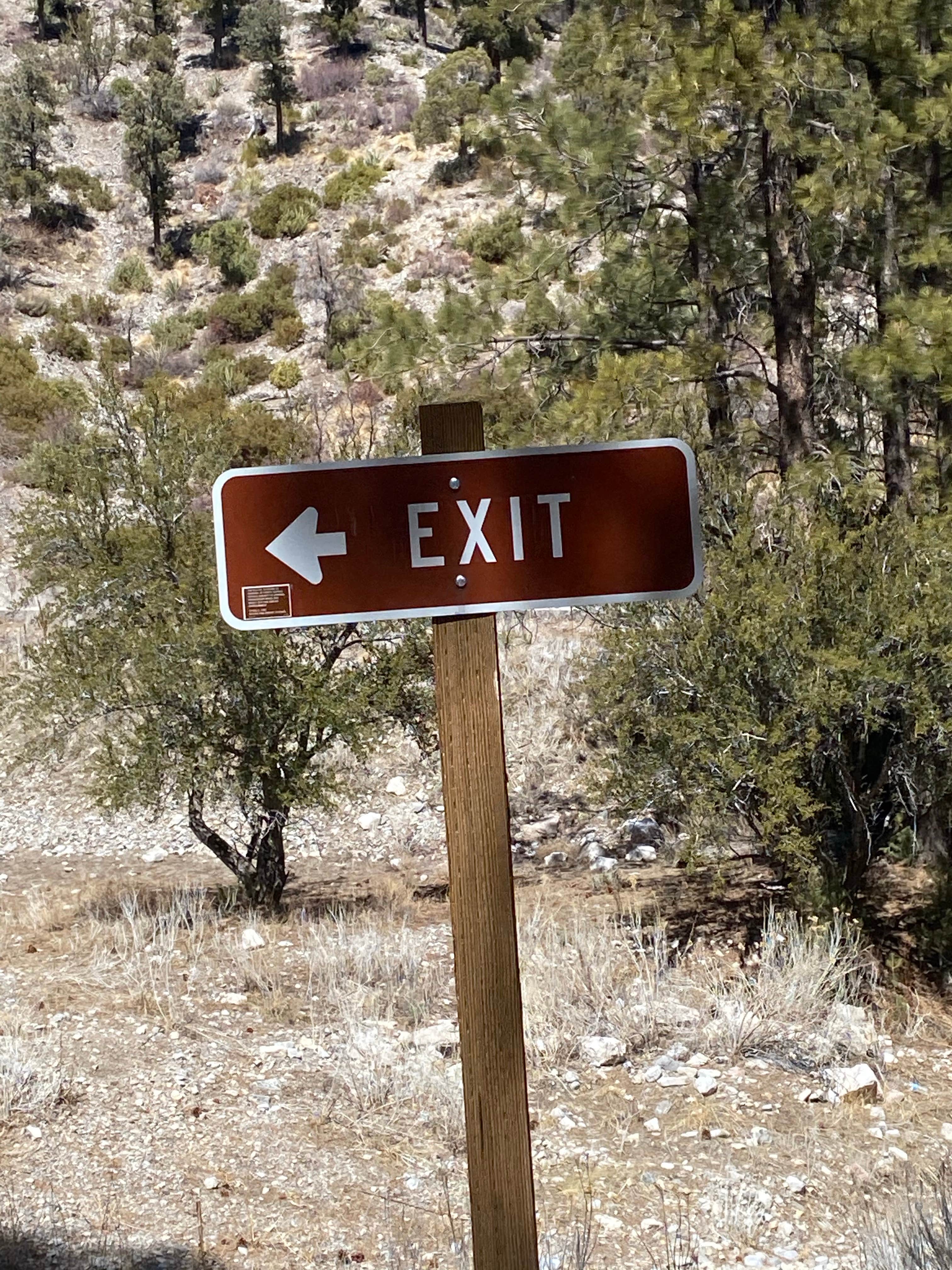 Camper-submitted photo at Lee RV Camp Group Campground near Mount Charleston, NV