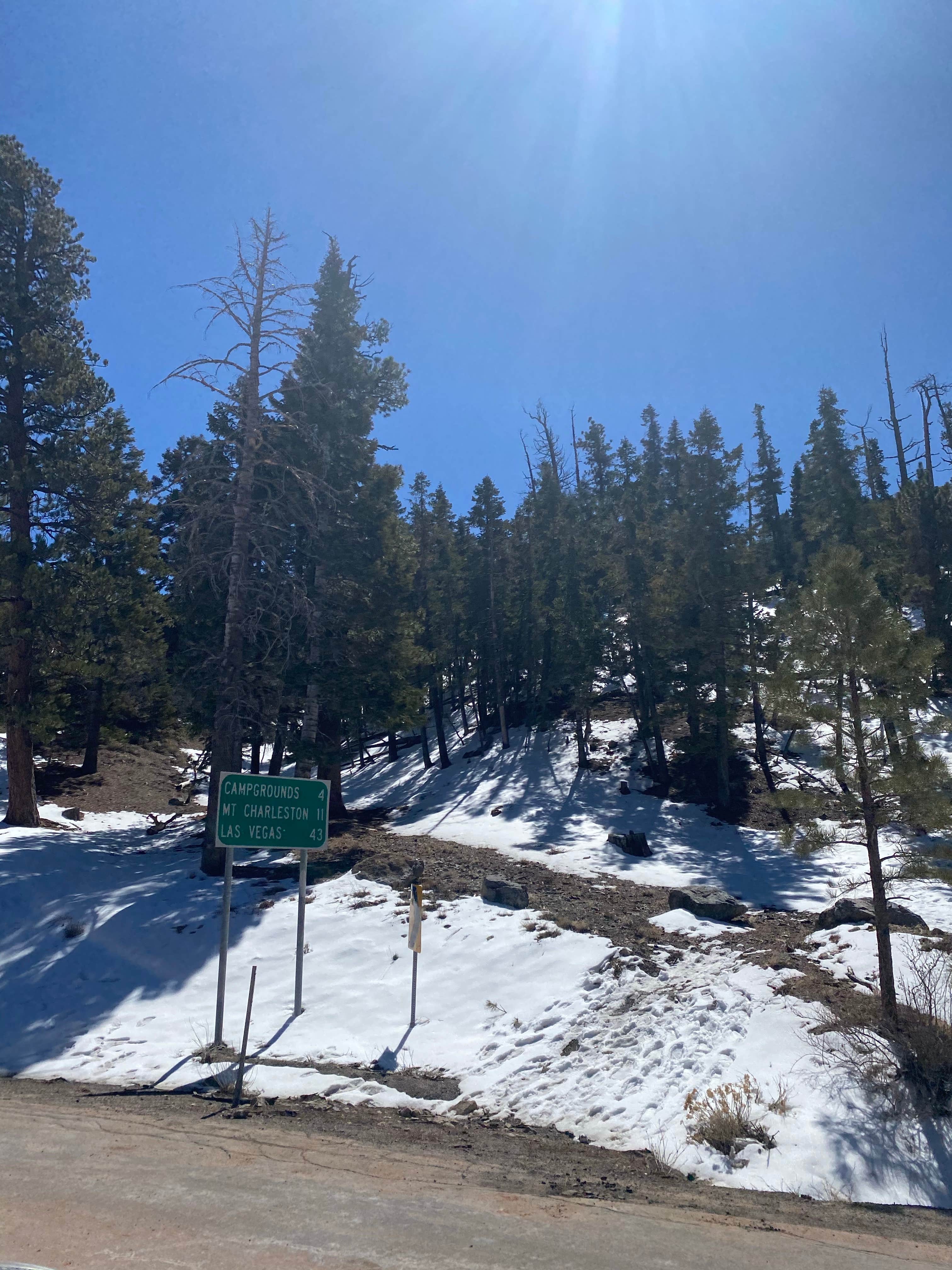 Camper-submitted photo at Lee RV Camp Group Campground near Mount Charleston, NV