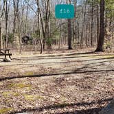 Review photo of Hopeville Pond State Park Campground by Jean C., April 1, 2021