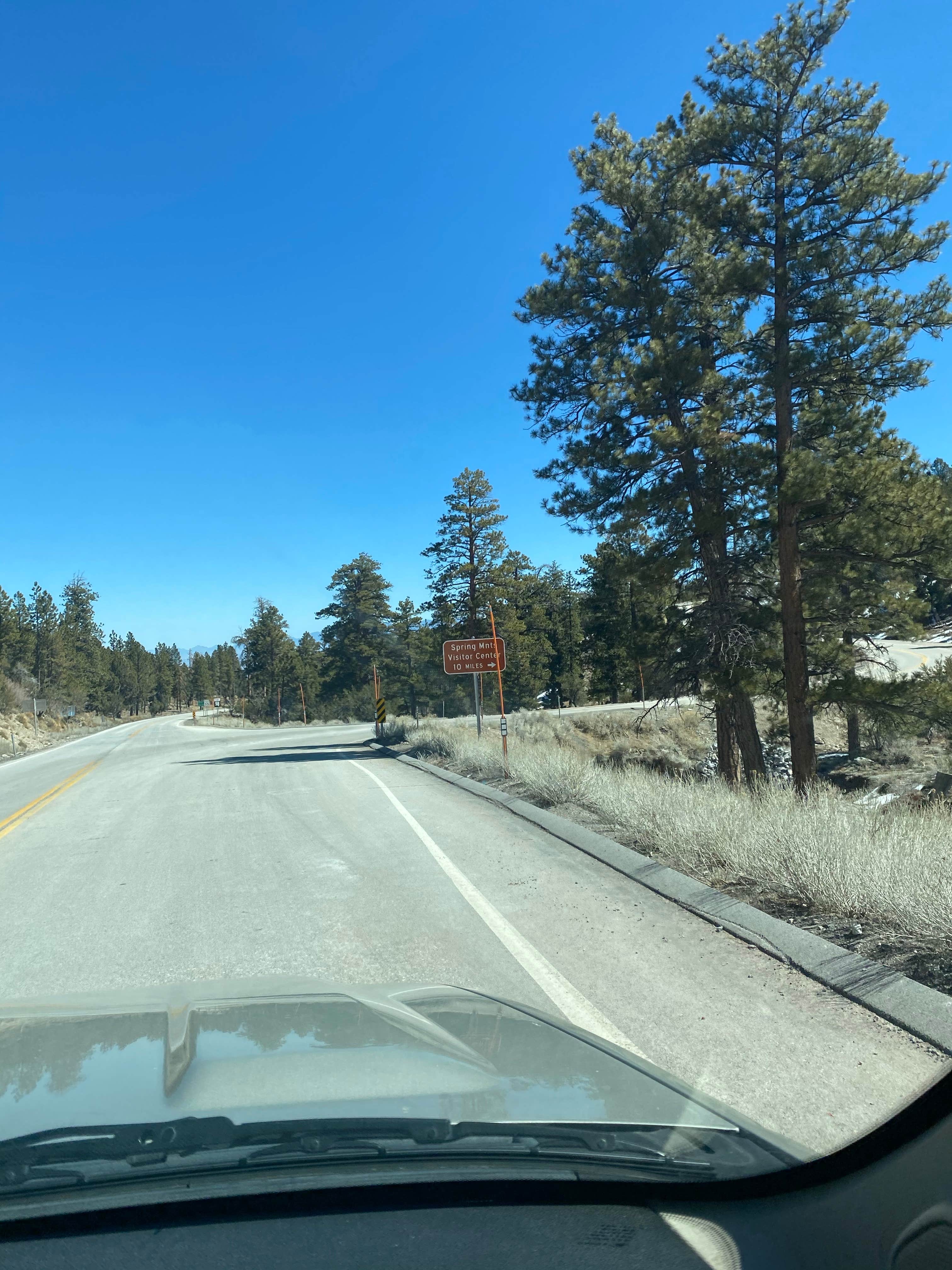 Camper-submitted photo at Lee RV Camp Group Campground near Mount Charleston, NV