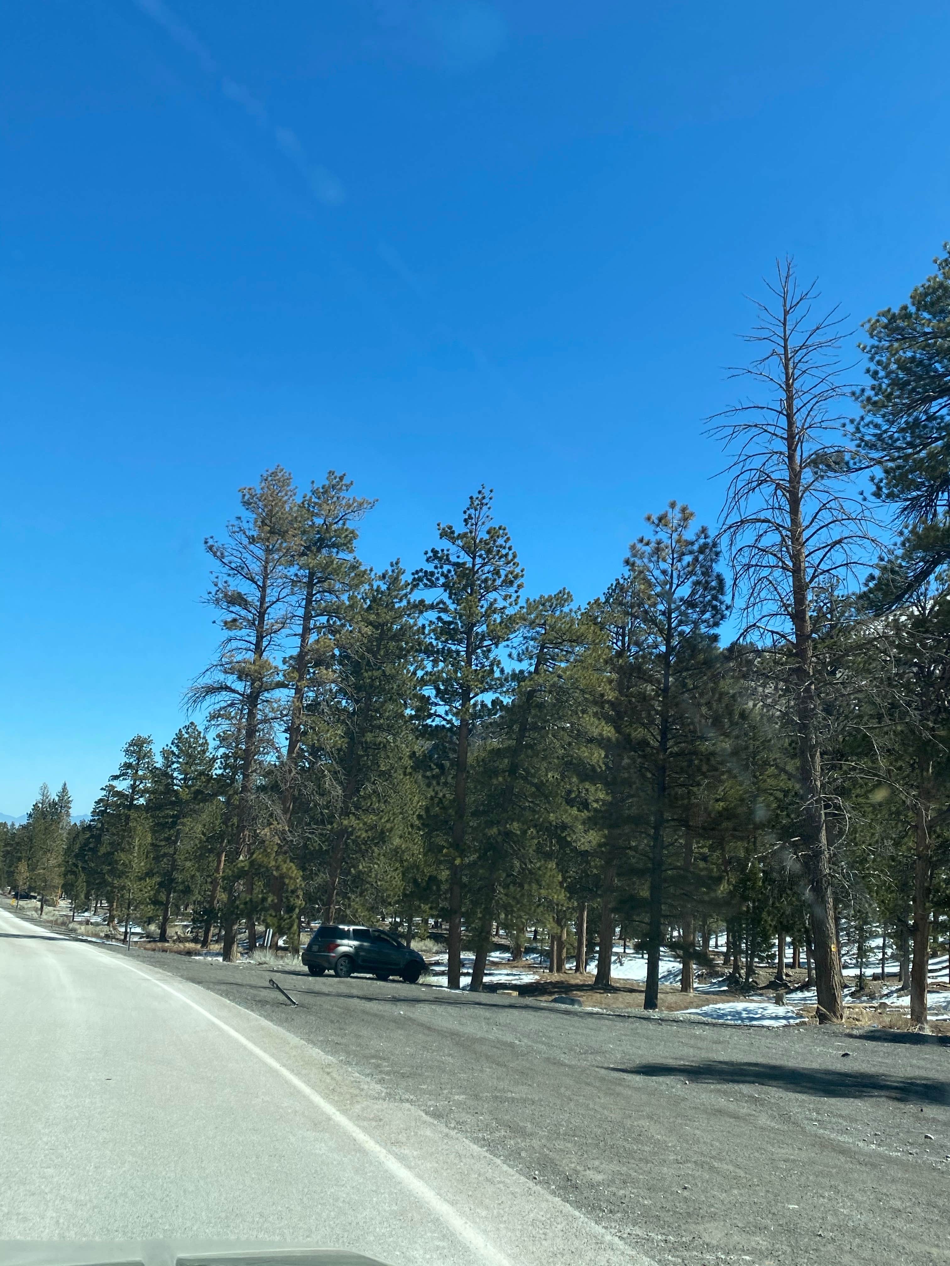 Camper-submitted photo at Lee RV Camp Group Campground near Mount Charleston, NV
