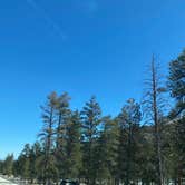 Review photo of Lee RV Camp Group Campground by Brittney  C., April 1, 2021