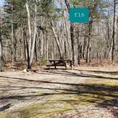 Review photo of Hopeville Pond State Park Campground by Jean C., April 1, 2021