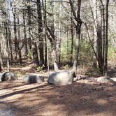 Review photo of Hopeville Pond State Park Campground by Jean C., April 1, 2021