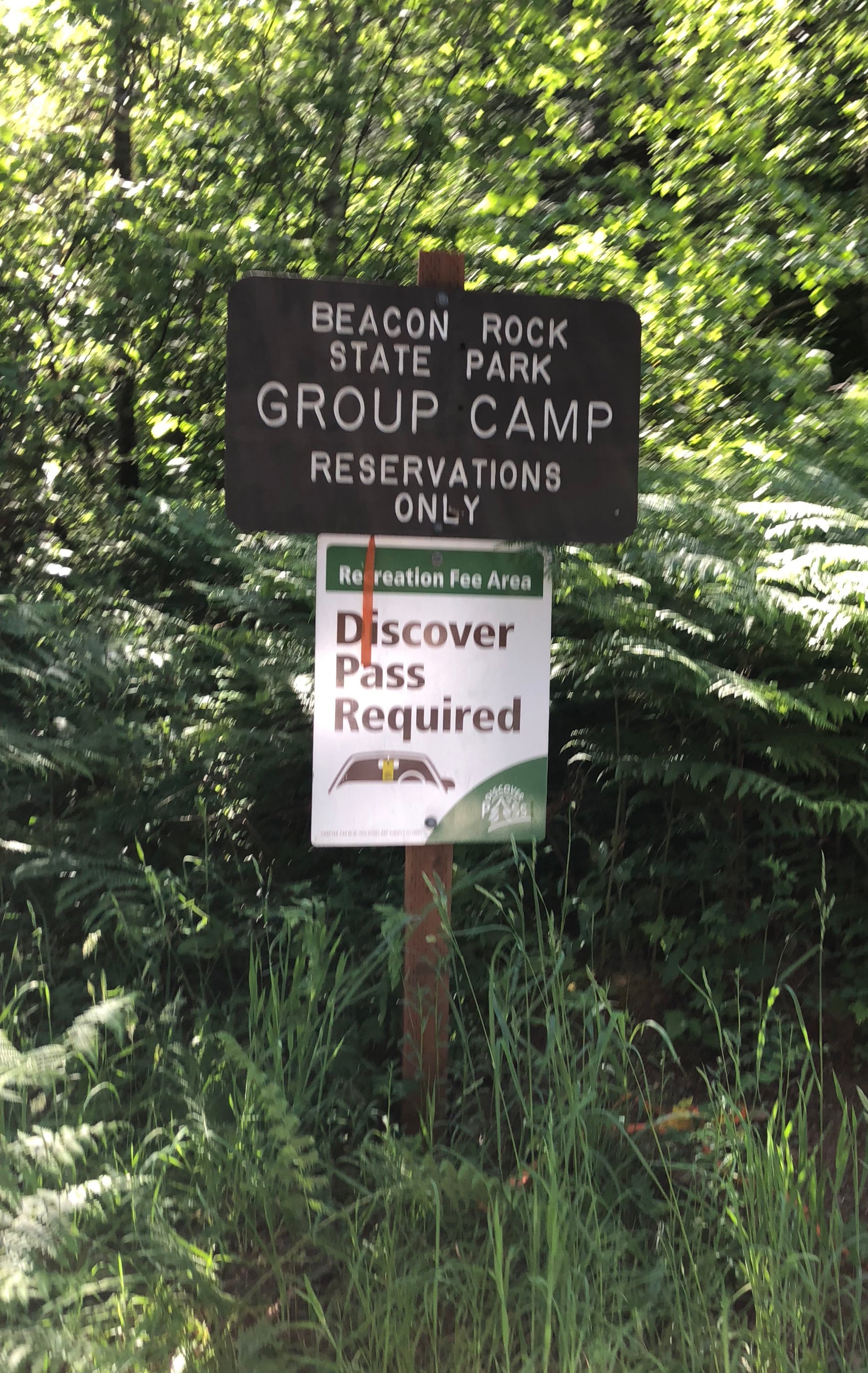 Camper submitted image from Beacon Rock State Park Group Campground — Beacon Rock State Park - 2