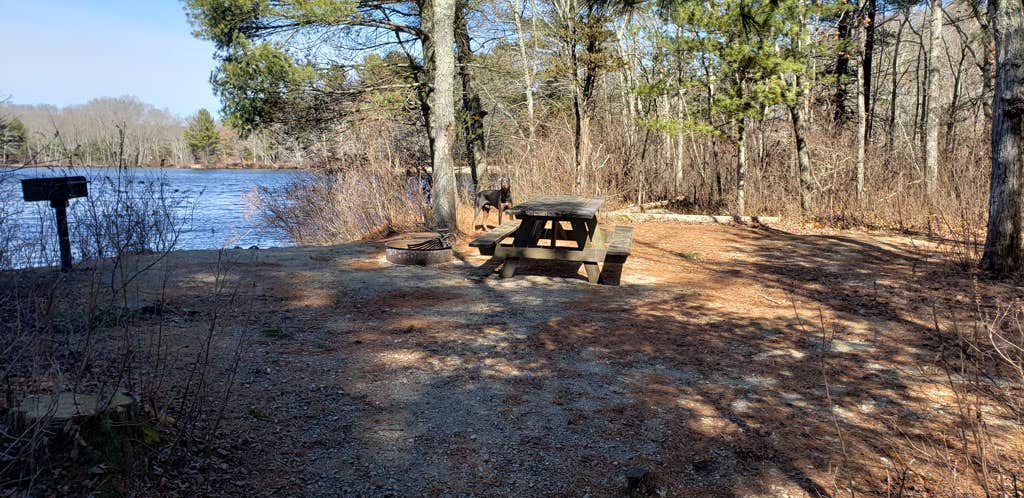 Jean C.'s photo of camping with pets at Hopeville Pond State Park Campground near West Warwick, RI