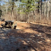 Review photo of Hopeville Pond State Park Campground by Jean C., April 1, 2021