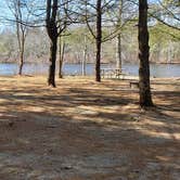 Review photo of Hopeville Pond State Park Campground by Jean C., April 1, 2021