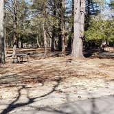 Review photo of Hopeville Pond State Park Campground by Jean C., April 1, 2021