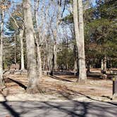 Review photo of Hopeville Pond State Park Campground by Jean C., April 1, 2021