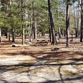 Review photo of Hopeville Pond State Park Campground by Jean C., April 1, 2021