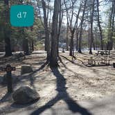 Review photo of Hopeville Pond State Park Campground by Jean C., April 1, 2021