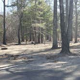 Review photo of Hopeville Pond State Park Campground by Jean C., April 1, 2021