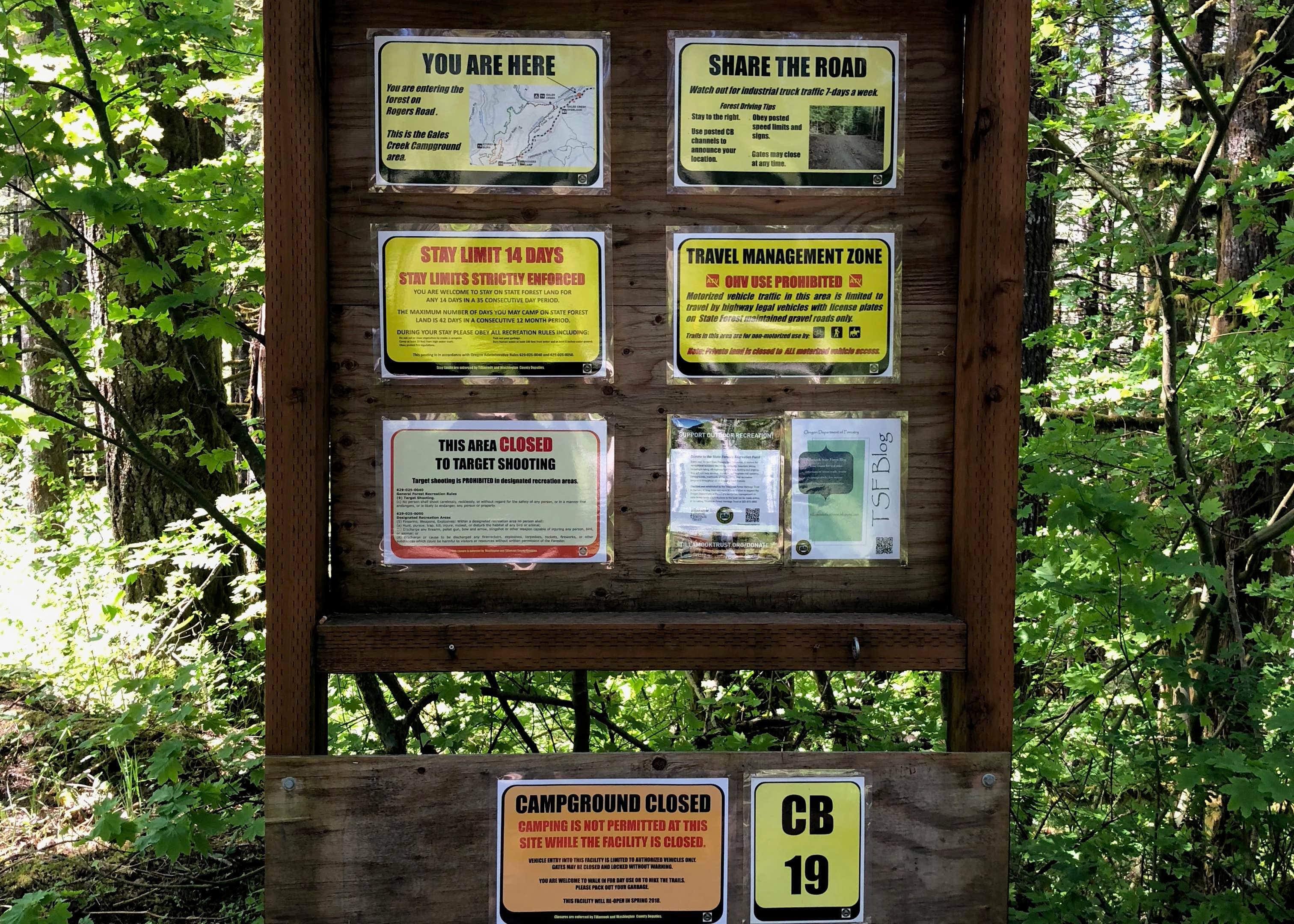 Gales Creek Campground Camping The Dyrt